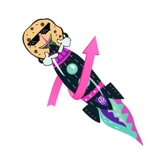 🍪BSCuits token PUMPS