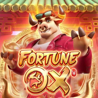 FORTUNE OX TOURO BOI SINAIS ROBO 🐂