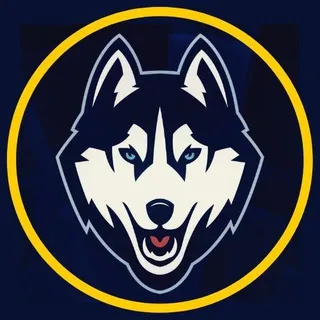 Contingência Lobo do tráfego 🐺