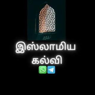 இஸ்லாமிய கல்வி