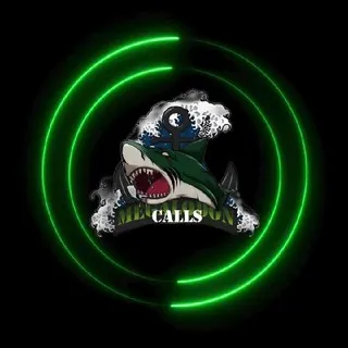 🐬MEGALODONS CALLS🐬