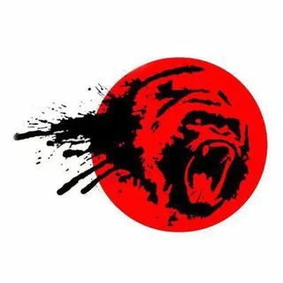 Best Binary Indicators