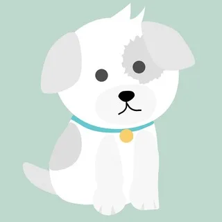 🙀 Ofertas para Mascotas: Transporte, alimentación, juguetes