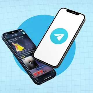 Telegram Group, Channel, & Bots