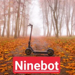 🛴 🇮🇹 Ninebot kick scooter italia