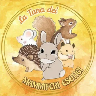 La Tana dei Mammiferi Esotici 🐿️