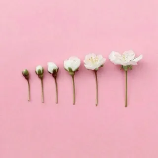 اقتباسات ♡¡!