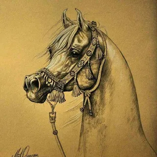 ★مجله اسب★