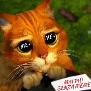 Mai più senza Meme