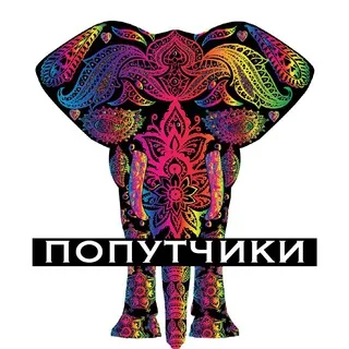 Индия (попутчики) 🥻🐃👳‍♂️