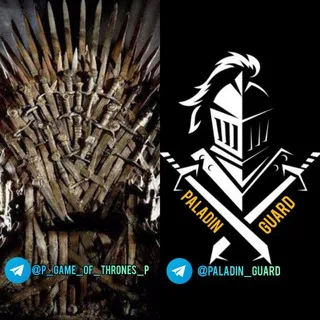 Paladin Guard | Game of Thrones 👑🔥پالادین گارد | بازی تاج و تخت 👑🔥