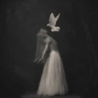 𝒎𝒖𝒕𝒆