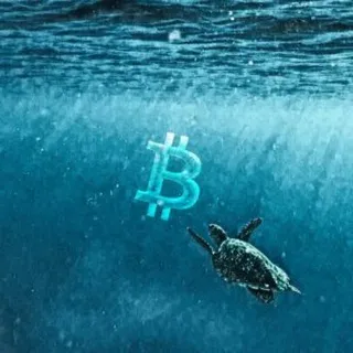 Crypto Sea & Cryptocurrencies «News»