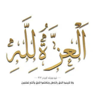 نيو وورلد اوردر ٣١٣