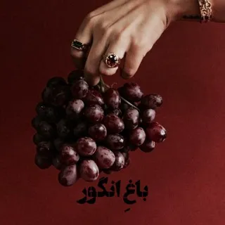 باغ‌ِ انگور