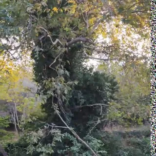 Kaan Canbazla Bir Fikrim VAR