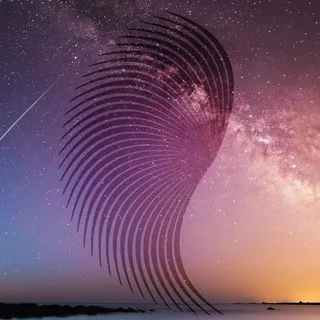 Transformational Meditaton Group