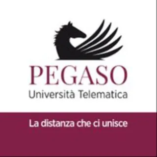 INFORMATICA UNIPEGASO L-31
