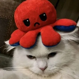 The Autistic Cat Channel